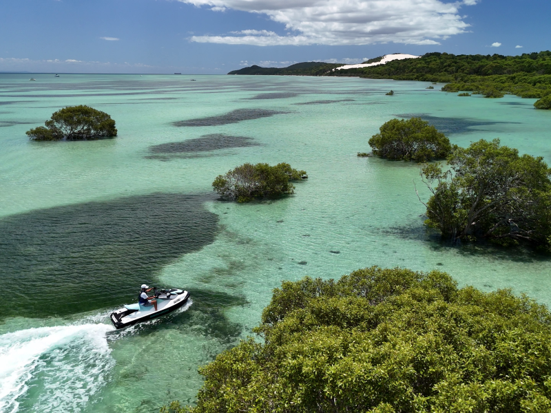 Blue Hole Mangroves Kooringal