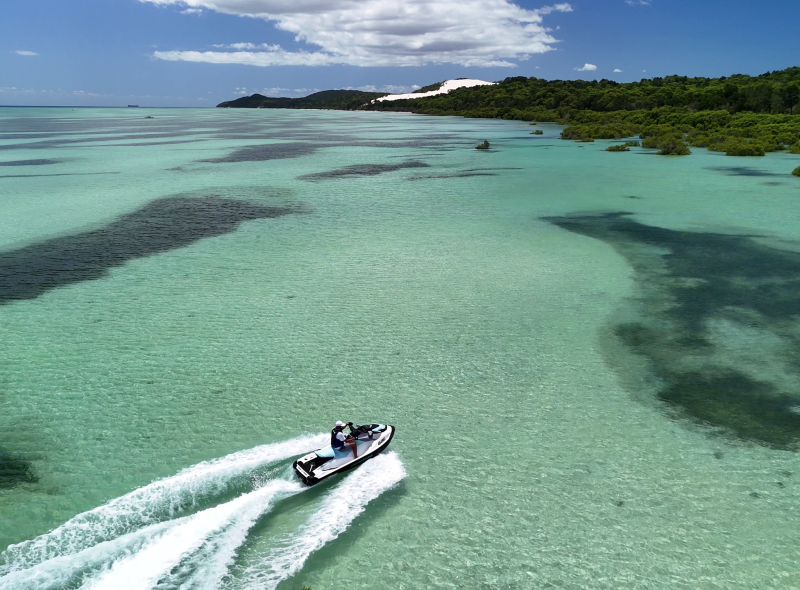 Clear water mangroves Kooringal