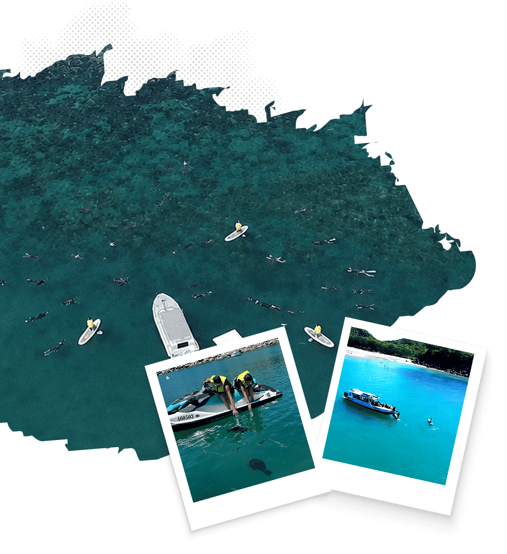 Image of guests enjoying snorkelling, jet skiing and fish feeding with Poseidon Adventure on there boat tours and jet ski tours