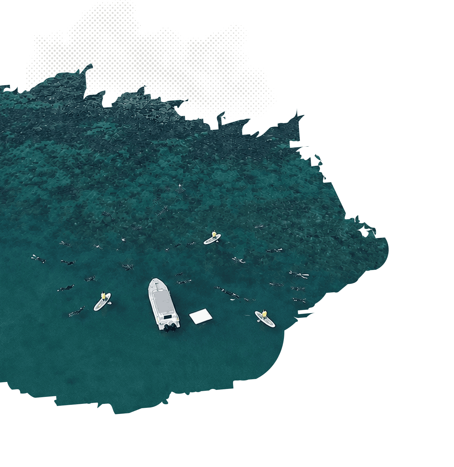 Guests Snorkelling Picnic Bay Reef with poseidon Adventure