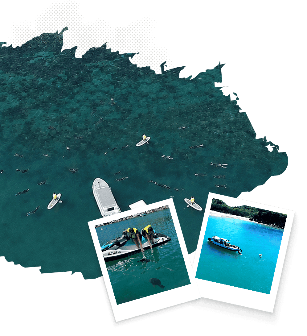 Image of guests enjoying snorkelling, jet skiing and fish feeding with Poseidon Adventure on there boat tours and jet ski tours