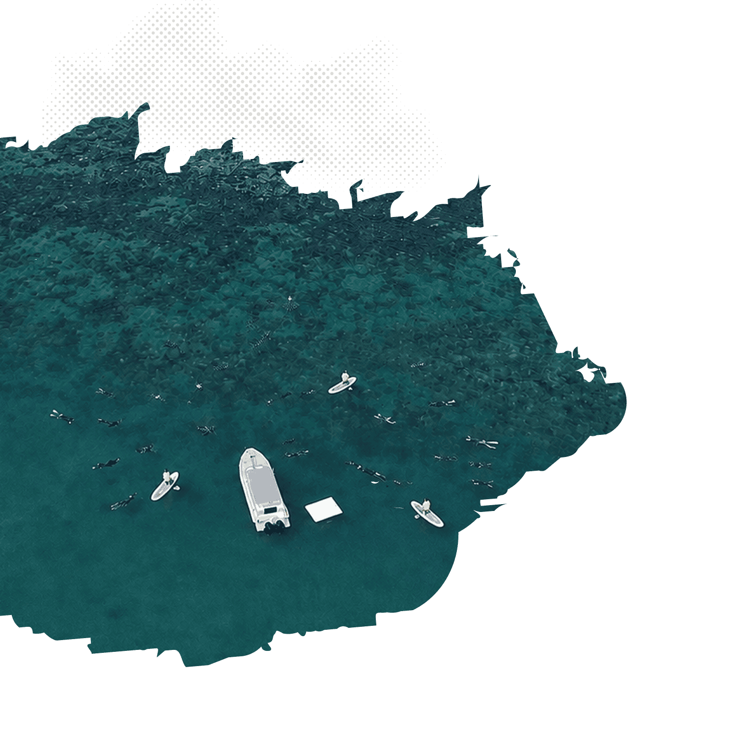 Guests Snorkelling Picnic Bay Reef with poseidon Adventure