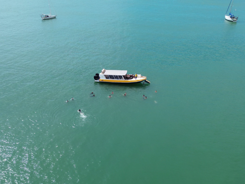 Boat tour Magnetic island