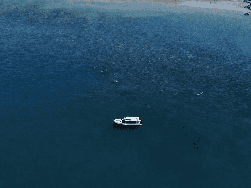 Geoffery Bay Snorkelling Tour