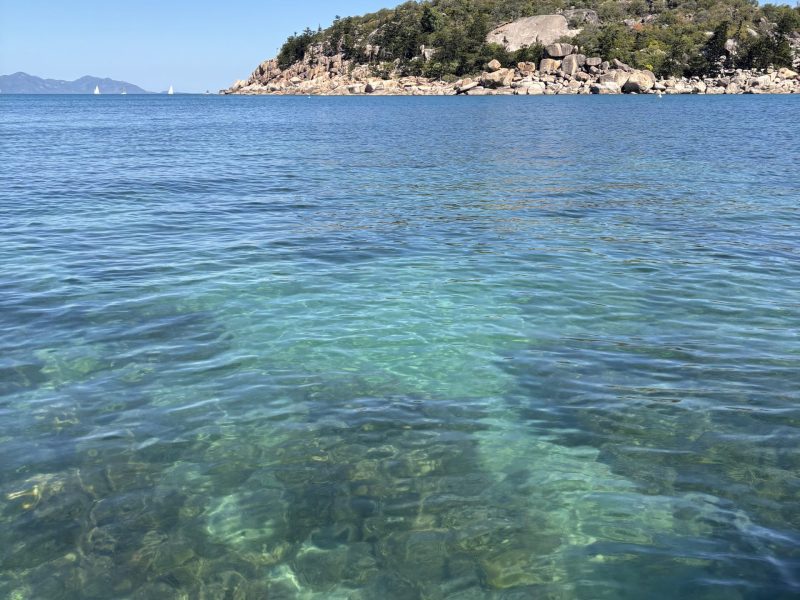 Magnetic Island snorkelling