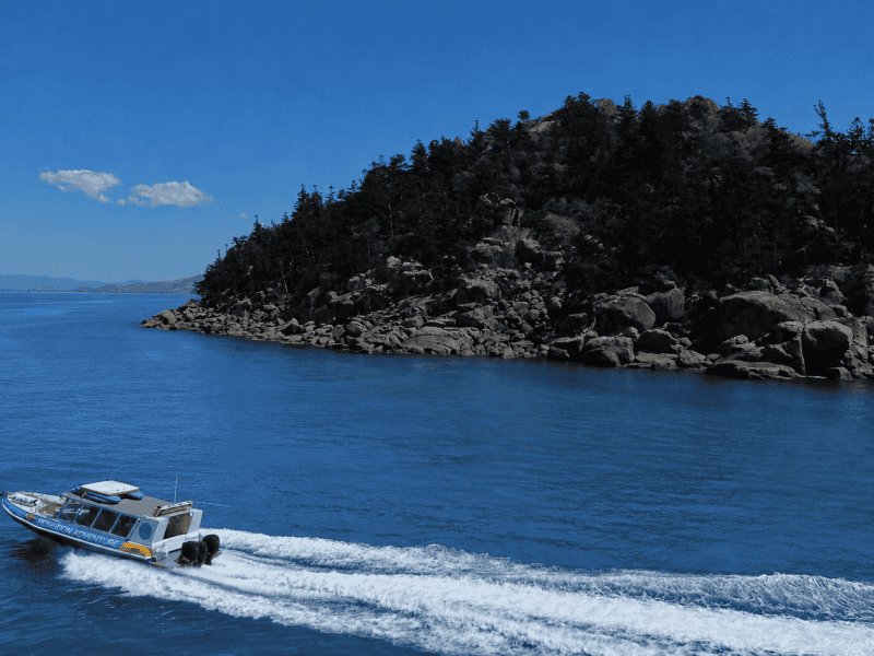 Maggie island