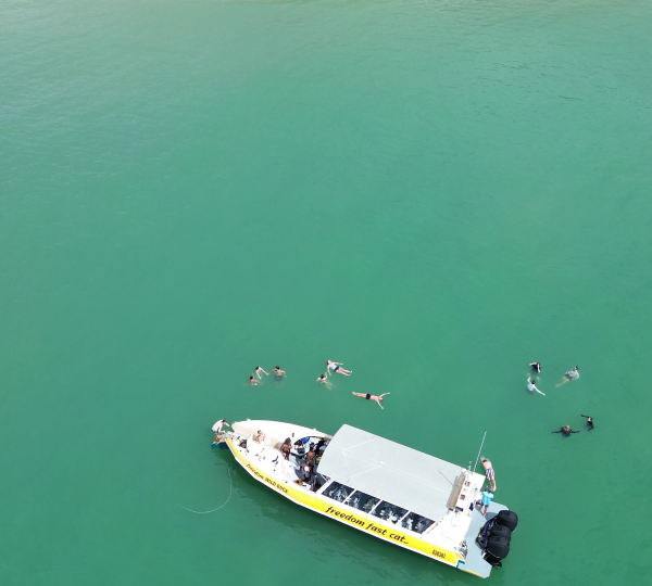 Magnetic island