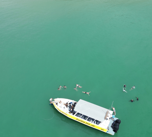 Magnetic island