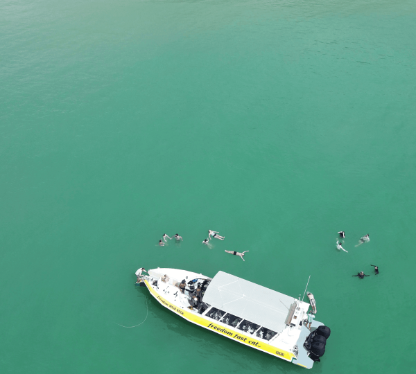 Magnetic island