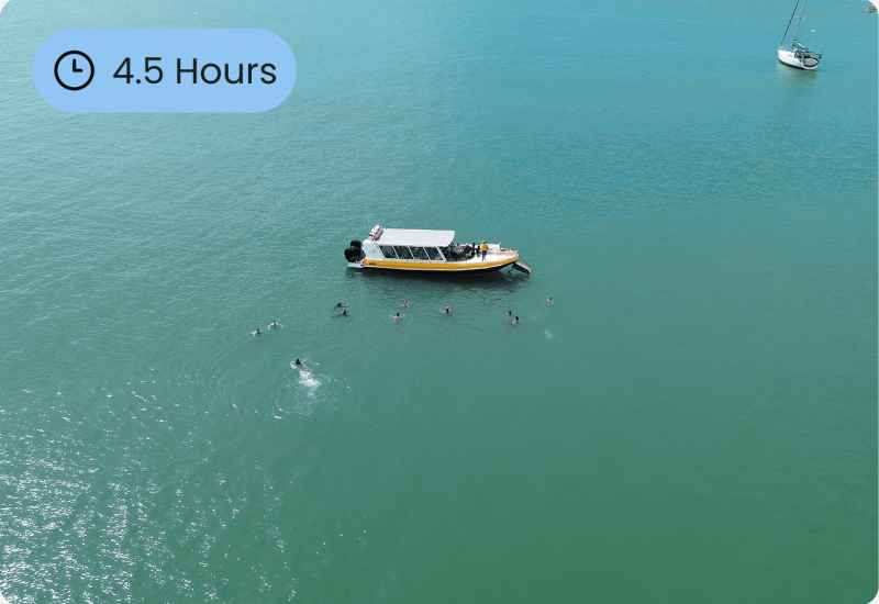 Magnetic island snorkelling tour (2)