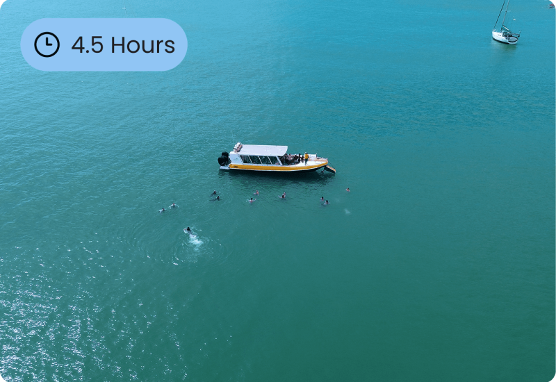 Radical bay magnetic island